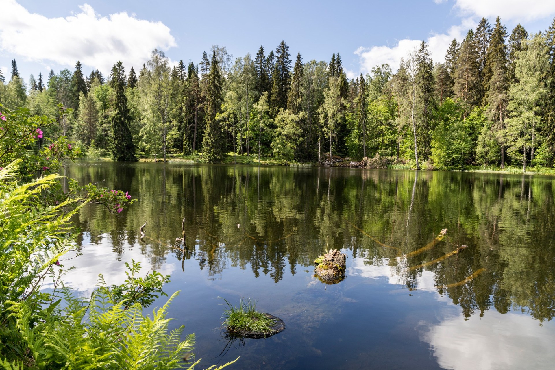 Tapahtuman oletuskuva