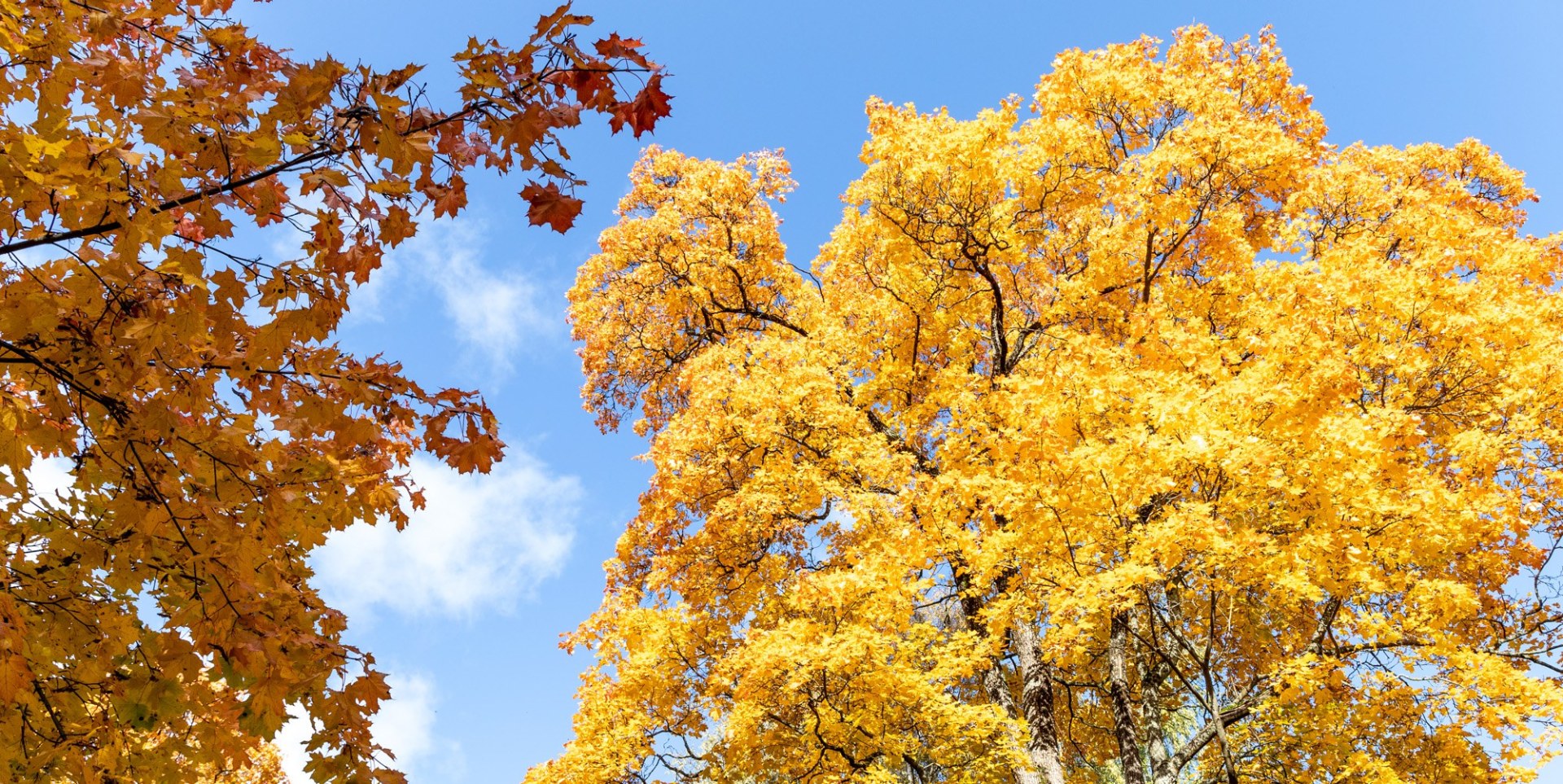 Tapahtuman oletuskuva