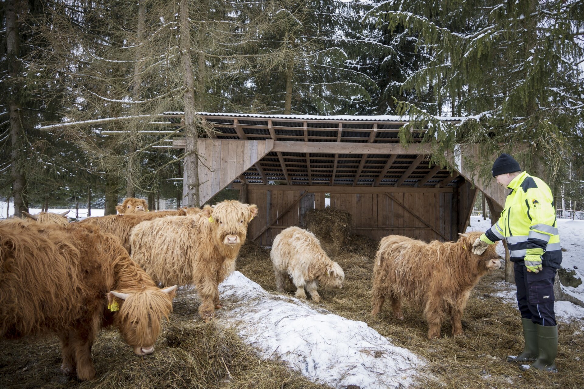 Tapahtuman oletuskuva