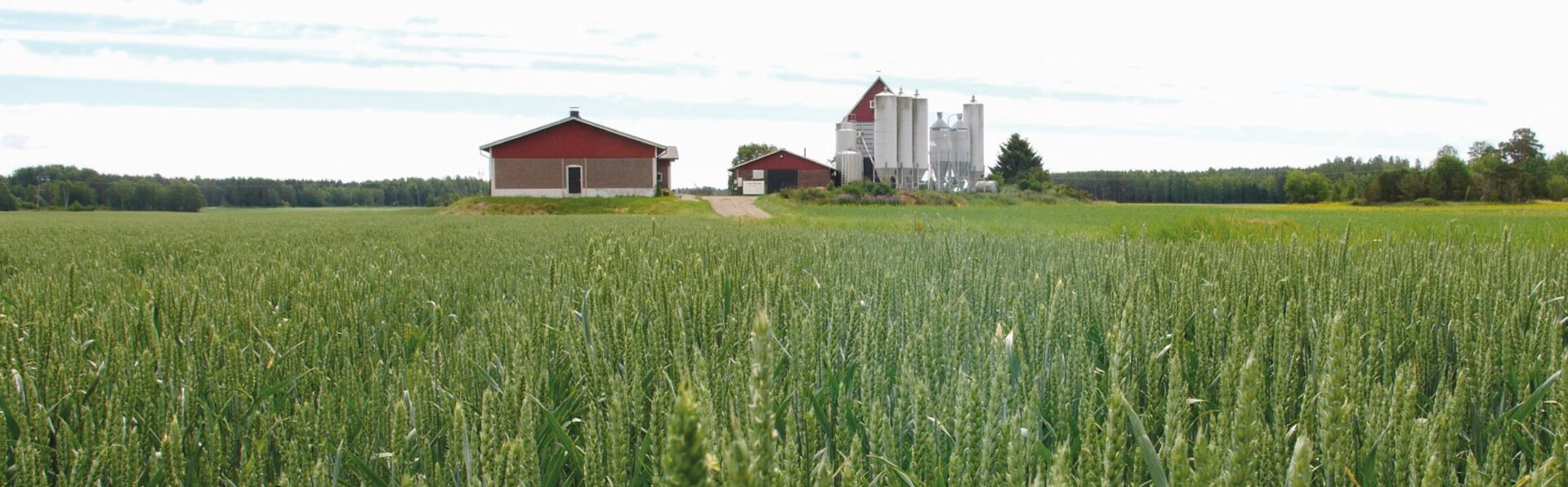 Tapahtuman oletuskuva